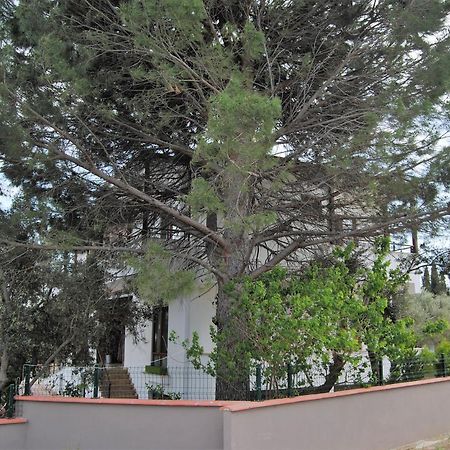 Beyaz Konak Guere ภายนอก รูปภาพ