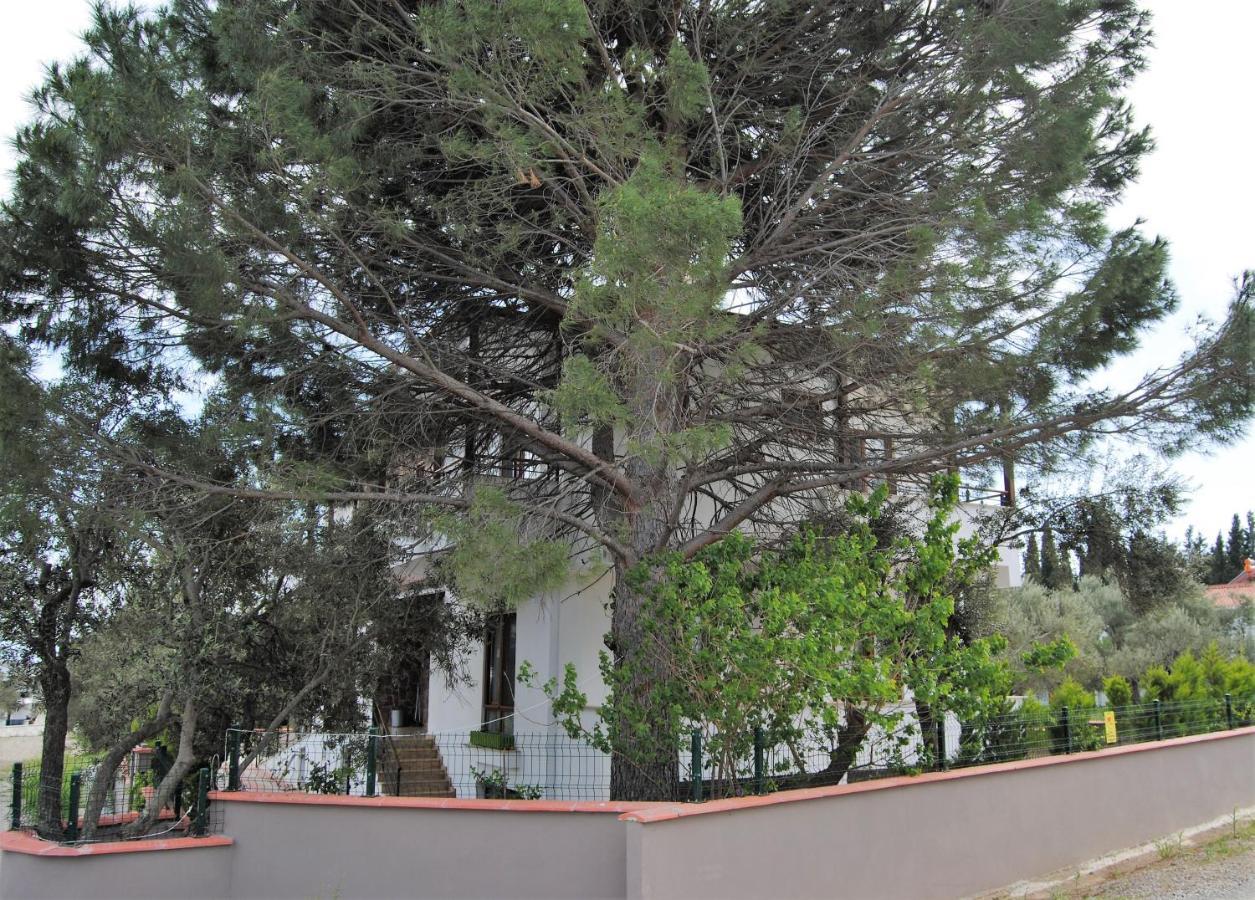 Beyaz Konak Guere ภายนอก รูปภาพ